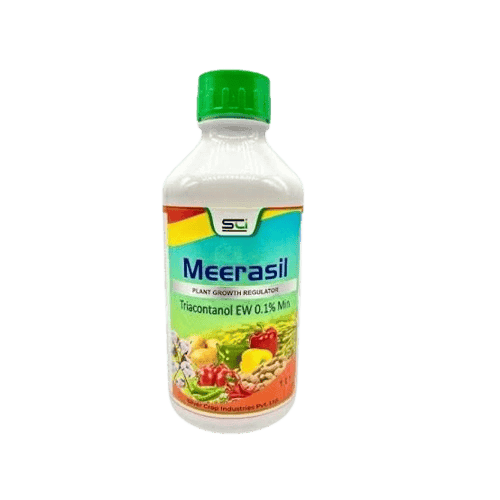 Meerasil