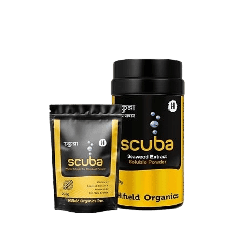 Scuba SP