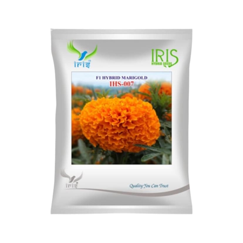 Hybrid Marigold Orange IHS007 Flower Seeds