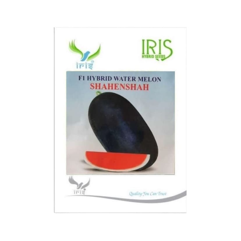 Hybrid Watermelon Shahenshah Fruit Seeds