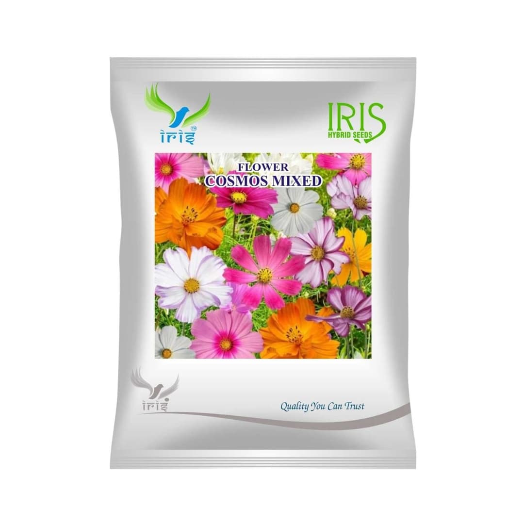 Cosmos Mix Flower Seeds (300 Seeds)