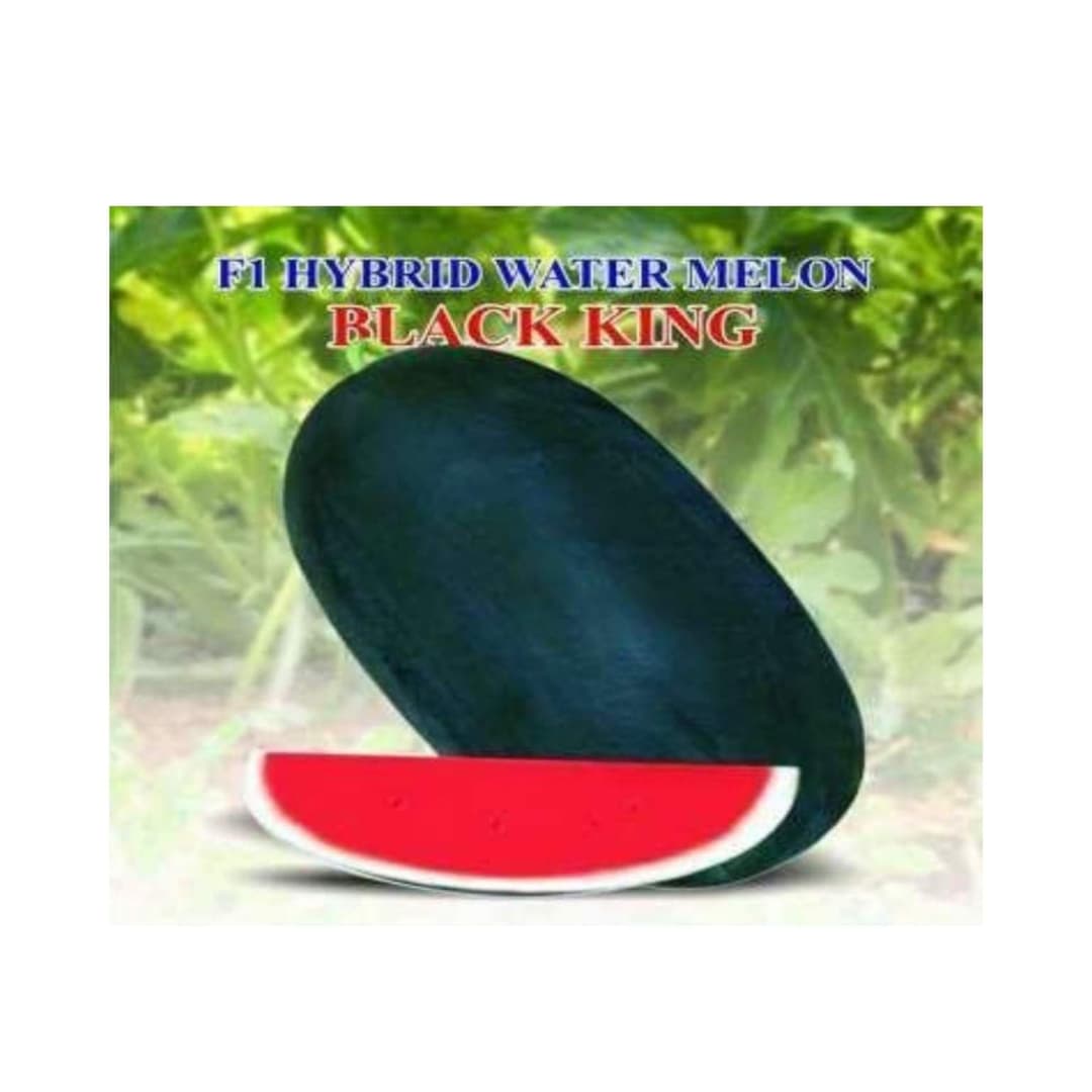 Hybrid Watermelon Black King Fruit Seeds