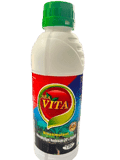 SEA VITA