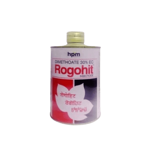 Rogohit