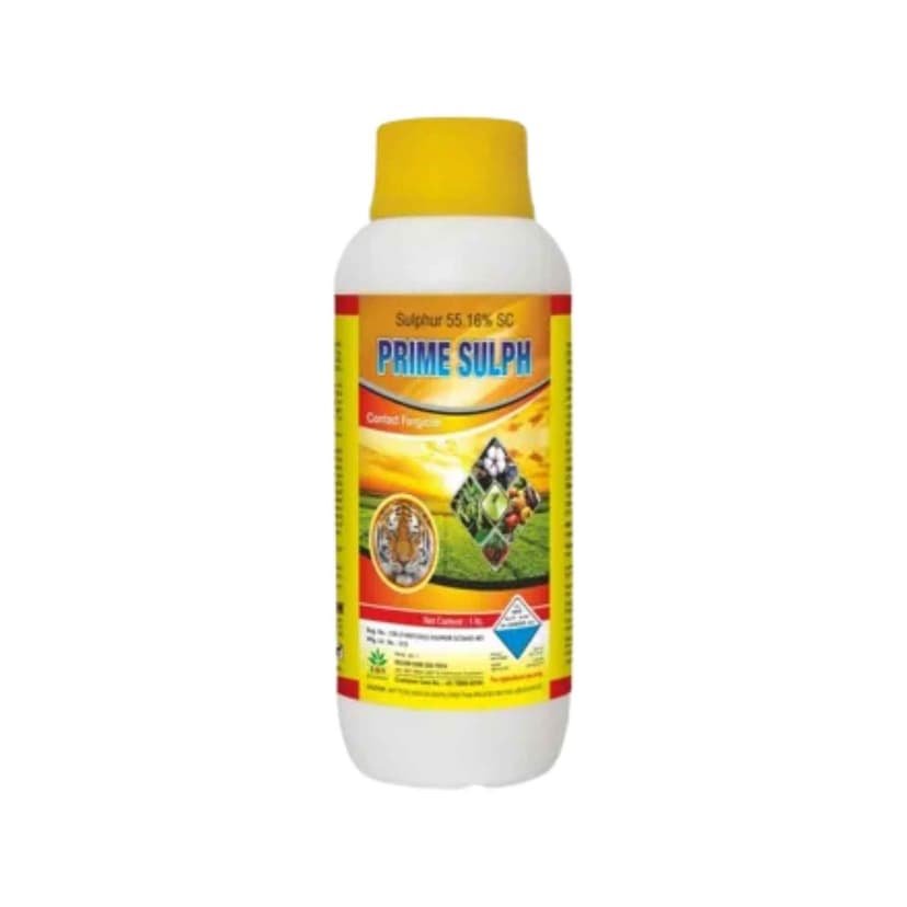 Prime sulph Sulphur 55.16% SC Fungicide 5LTR