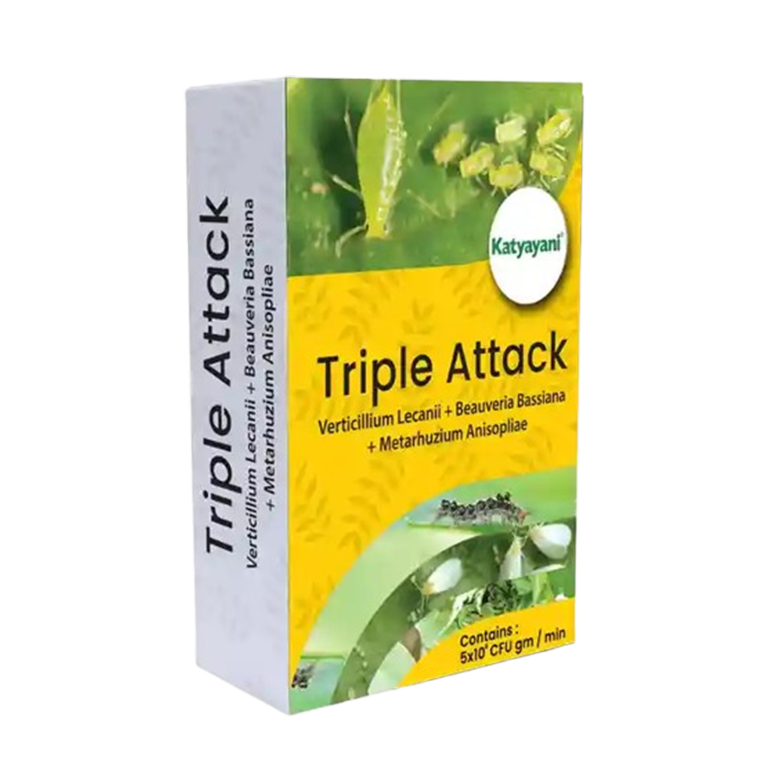 Katyayani Triple Attack Powder-1 kg