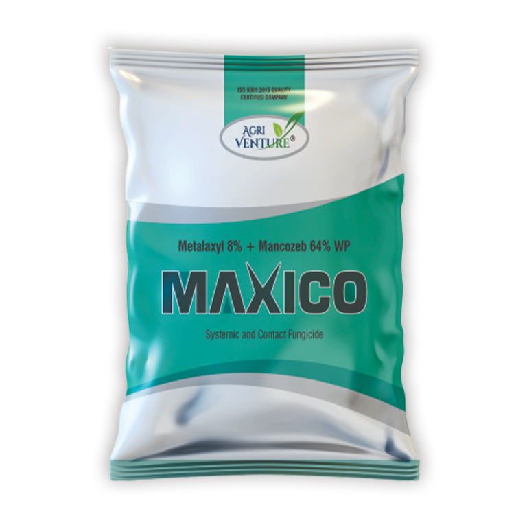 Agriventure Maxico Metalaxyl 8% + Mancozeb 64% WP Fungicide