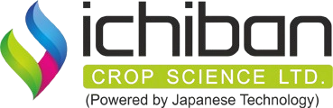 Ichiban – Crop Science Ltd.