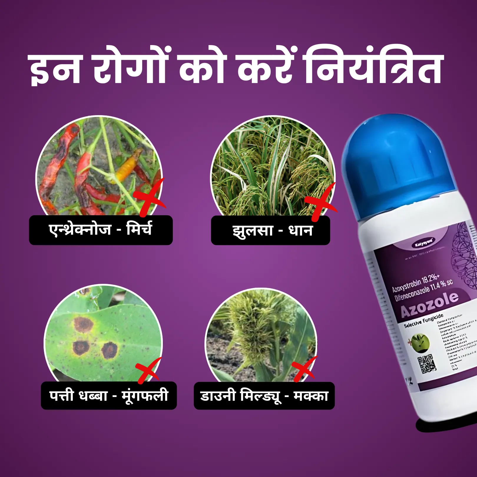Katyayani Azozole Chemical Fungicide | Azoxystrobin 18.2 % + difenoconazole 11.4 % SC 1 Litre
