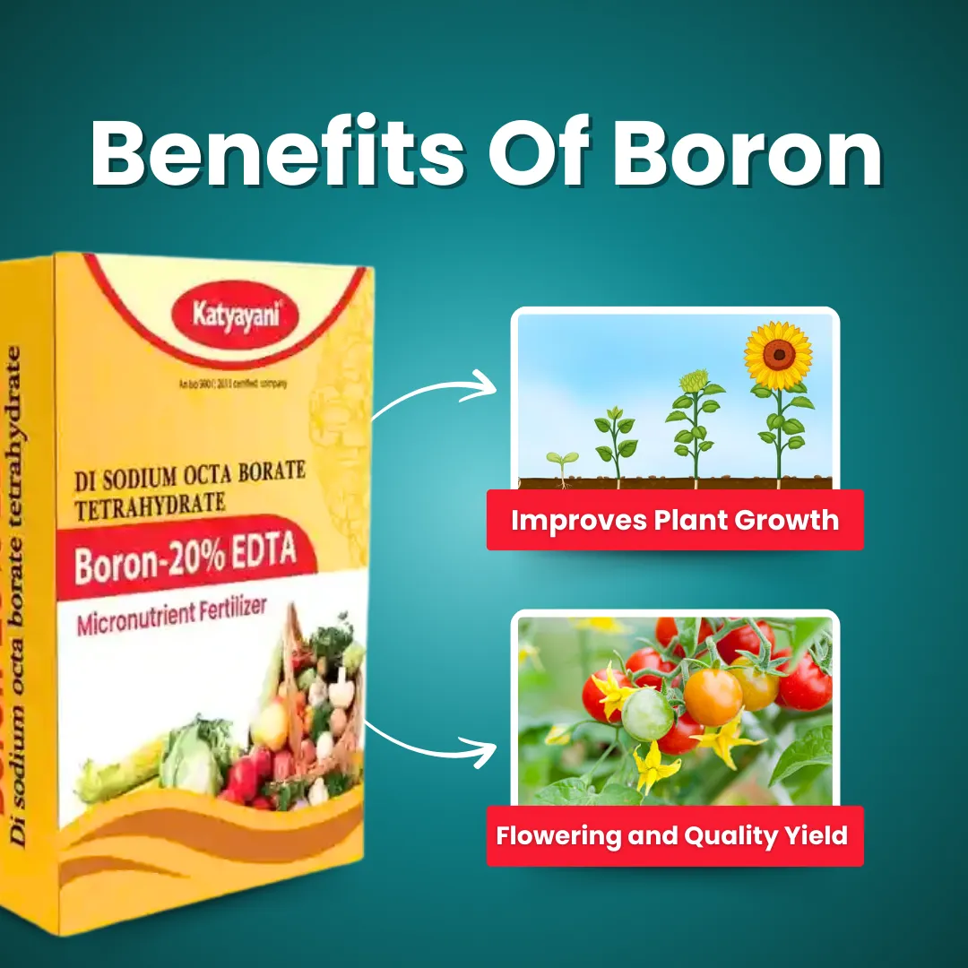 Katyayani Boron 20% EDTA 400 GM