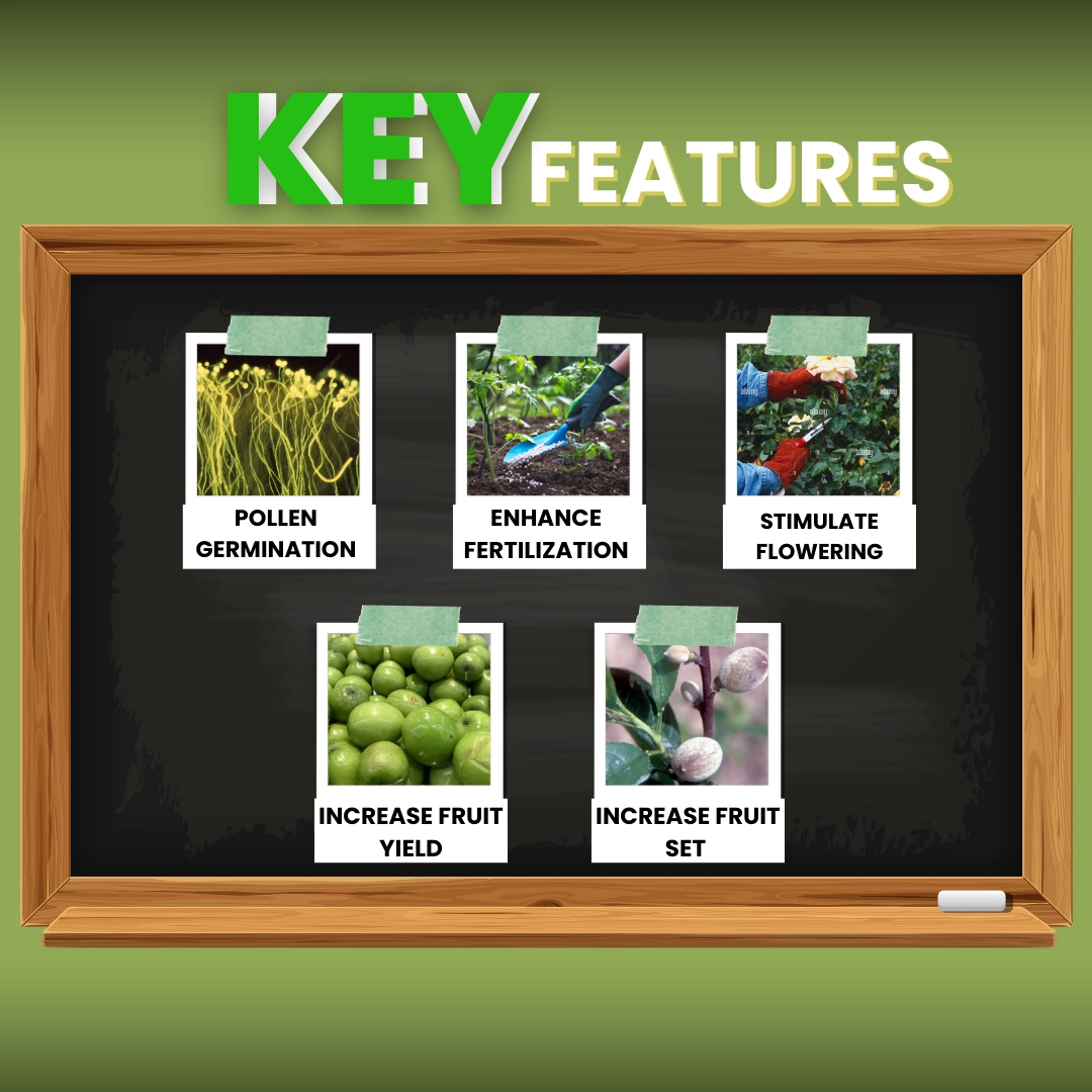 Katyayani Bloom Booster 1 Litre