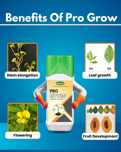 Katyayani PRO GROW (1 Litre)