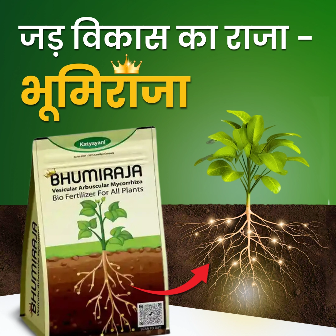 KATYAYANI BHUMIRAJA BIO FERTILIZER (1 Kg)