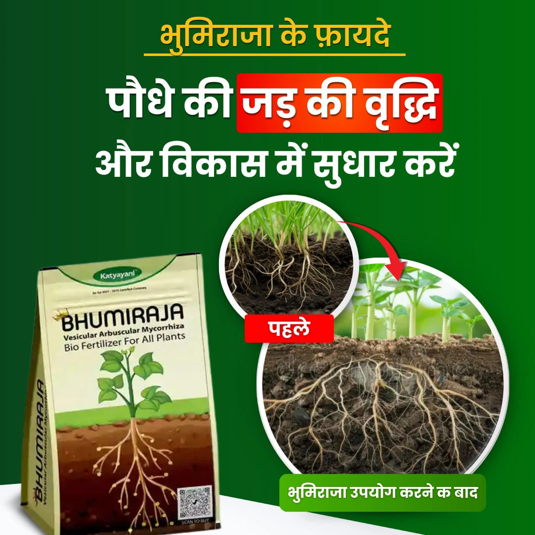 KATYAYANI BHUMIRAJA BIO FERTILIZER (1 Kg)