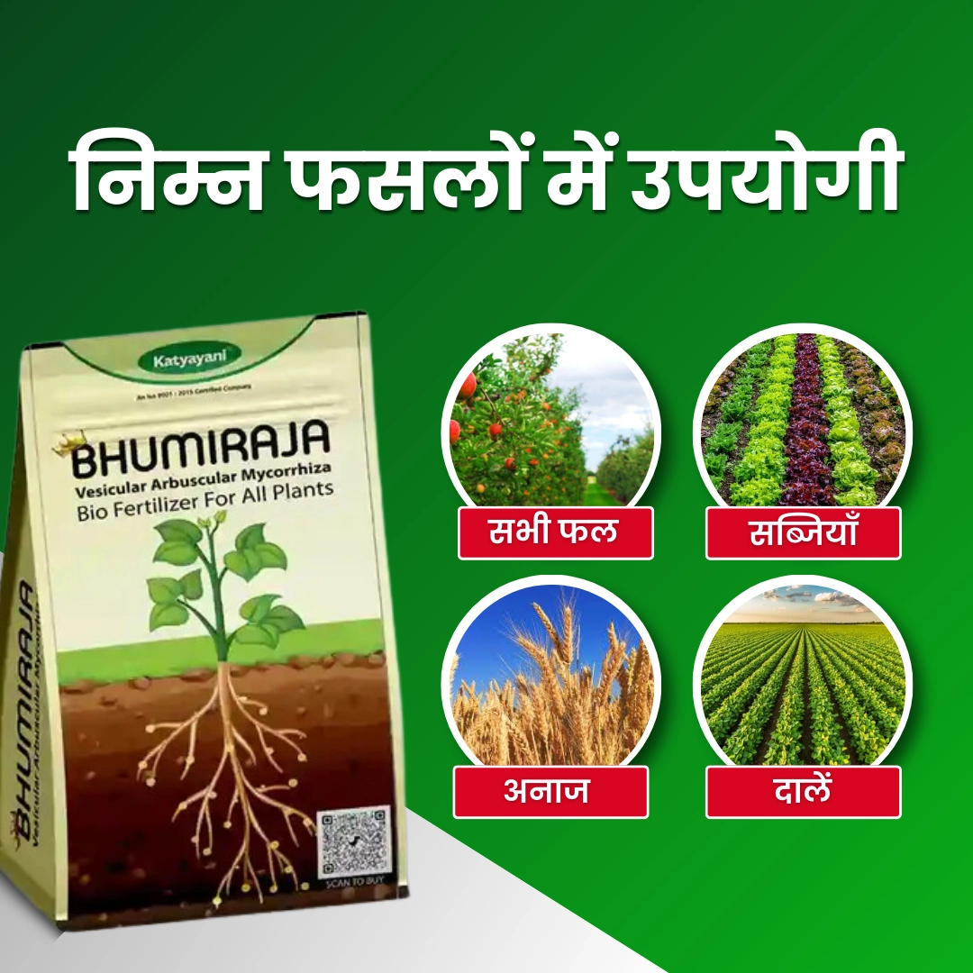 KATYAYANI BHUMIRAJA BIO FERTILIZER (1 Kg)