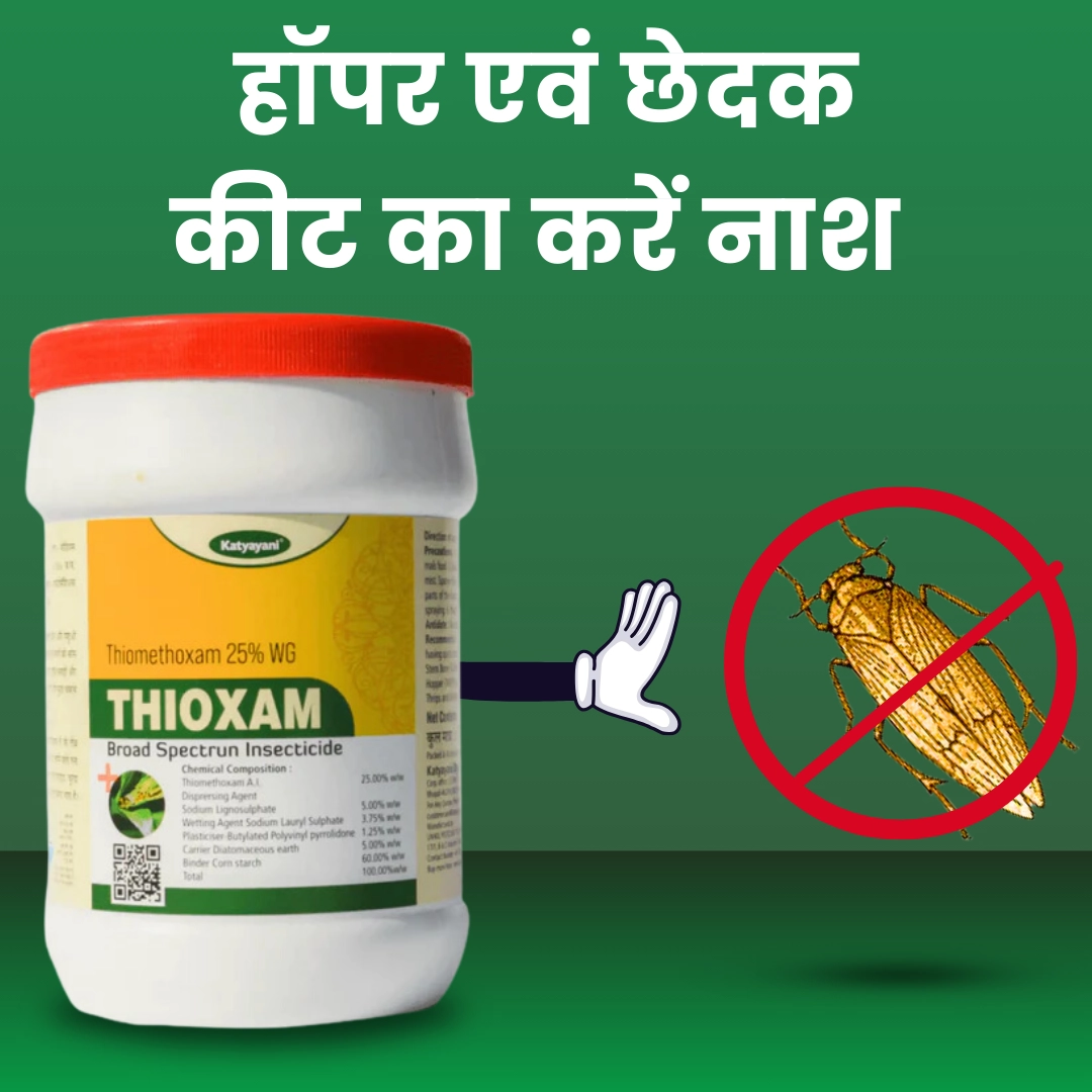 Katyayani Thioxam Insecticide (1 Kg)