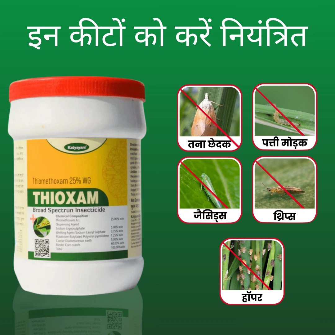 Katyayani Thioxam Insecticide (1 Kg)