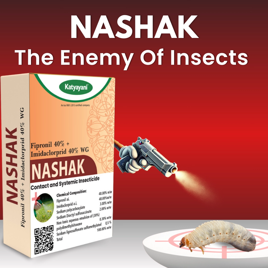 Katyayani Nashak (1 kg)