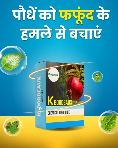 Katyayani Bordeaux Mixture – Broad-Spectrum Contact Fungicide (950 gm)
