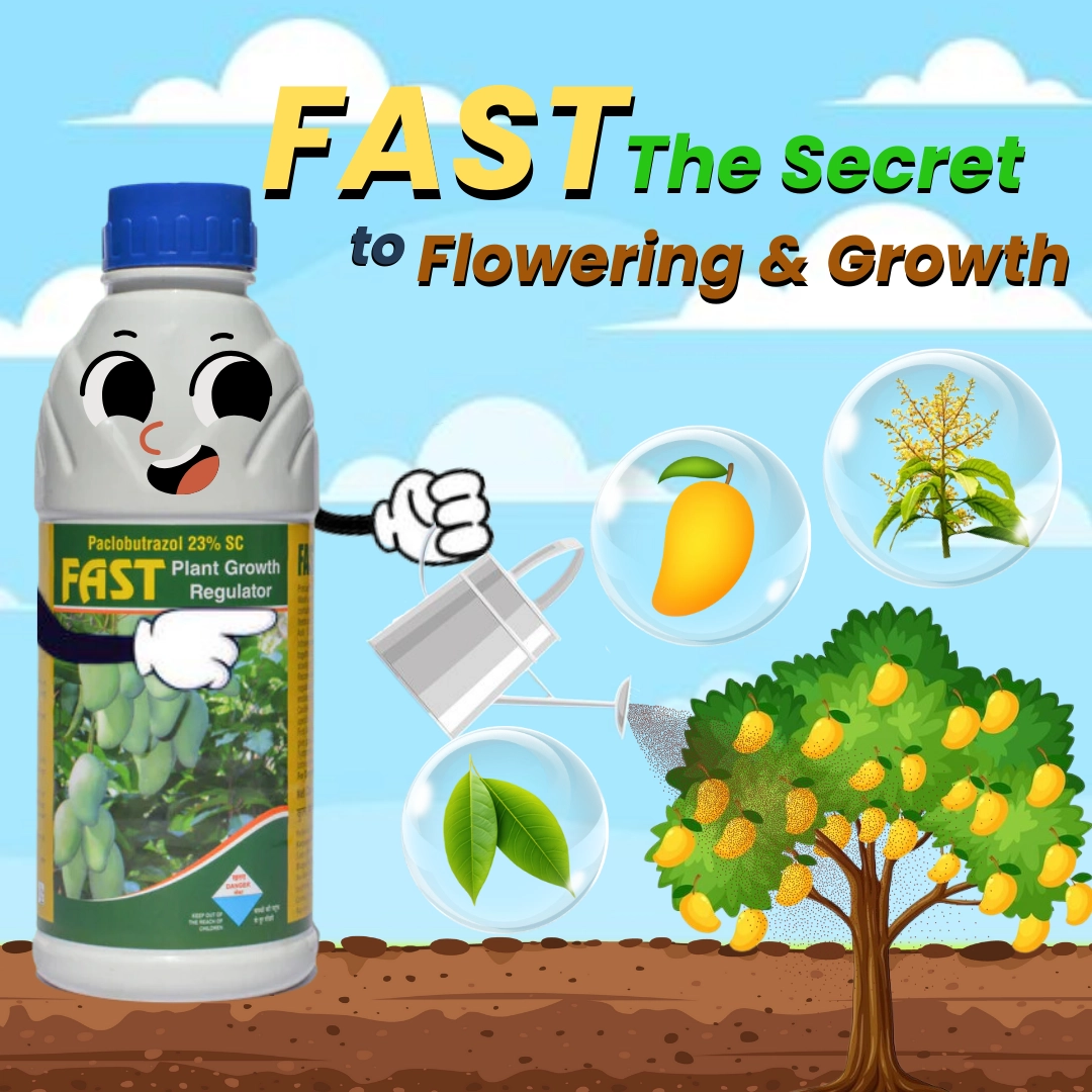 Katyayani Fast | Paclobutrazol 23% SC | Plant Growth Regulator 500 ML ( 100 ML x 5)