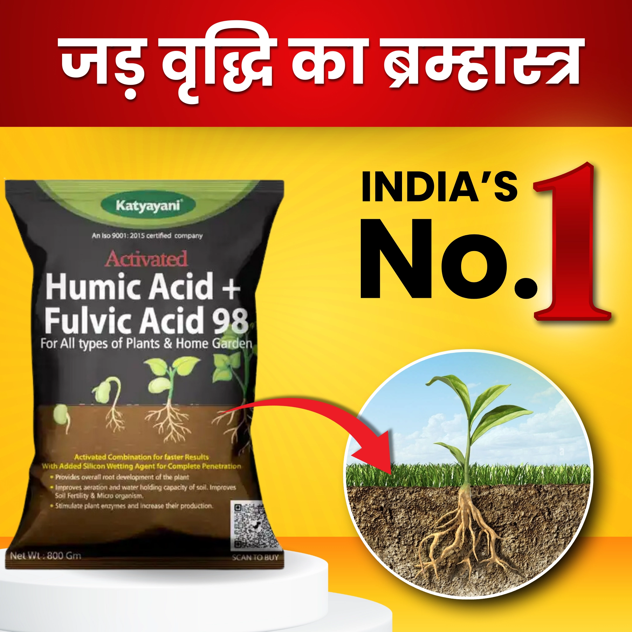 ACTIVATED HUMIC ACID + FULVIC ACID 98 FERTILIZER | KATYAYANI 3200 GM (800 GM x 4)