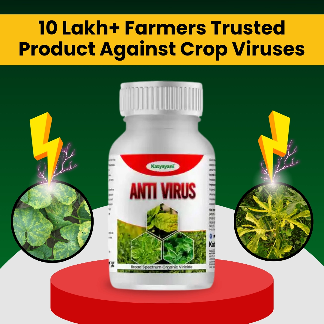 Katyayani Antivirus Viricide | Special for Chilli, Tomato & Brinjal 1 Litre (250ml x 4)