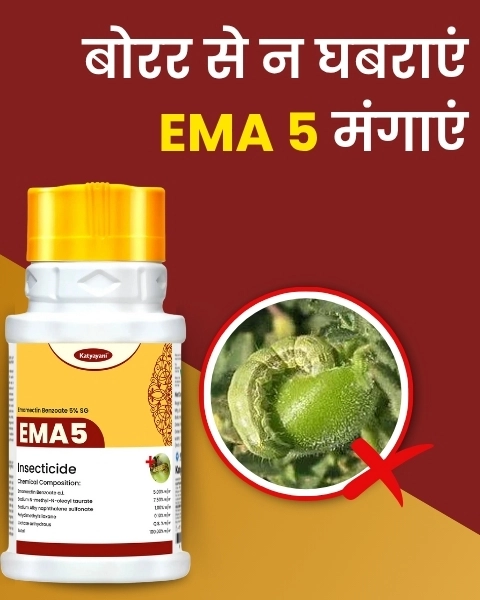 Katyayani EMA 5 | Emamectin Benzoate 5 SG | Chemical Insecticide 5 KG ( 250 GM x 20 )