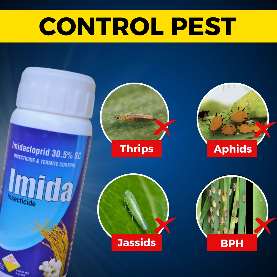 KATYAYANI IMIDA | IMIDACLOPRID 30.5% SC | CHEMICAL INSECTICIDE 500 ML (100 ML x 5)