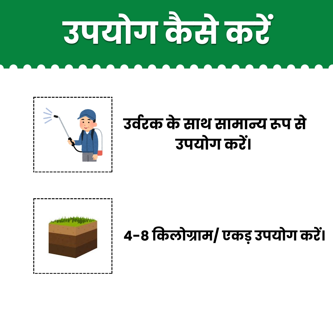 KATYAYANI BHUMIRAJA | MYCORRHIZA | BIO FERTILIZER 4 KG (4 KG x 1)