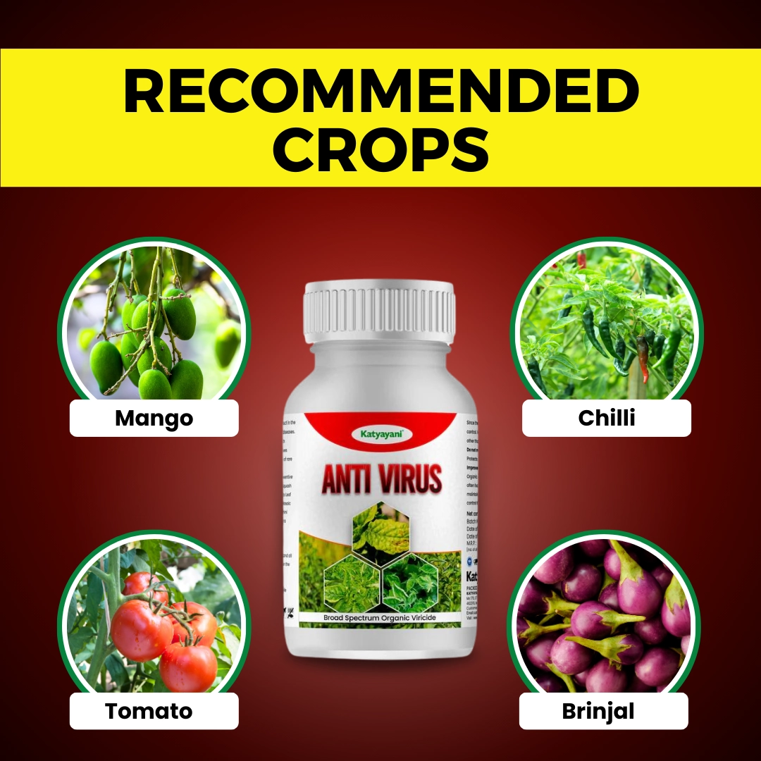 Katyayani Antivirus Viricide | Special for Chilli, Tomato & Brinjal 1 Litre