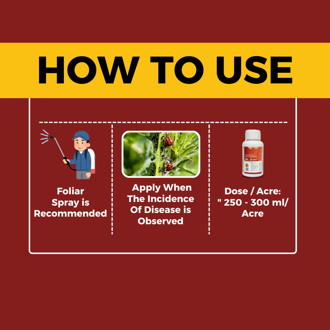 Katyayani Dr. Zole (500 ml)