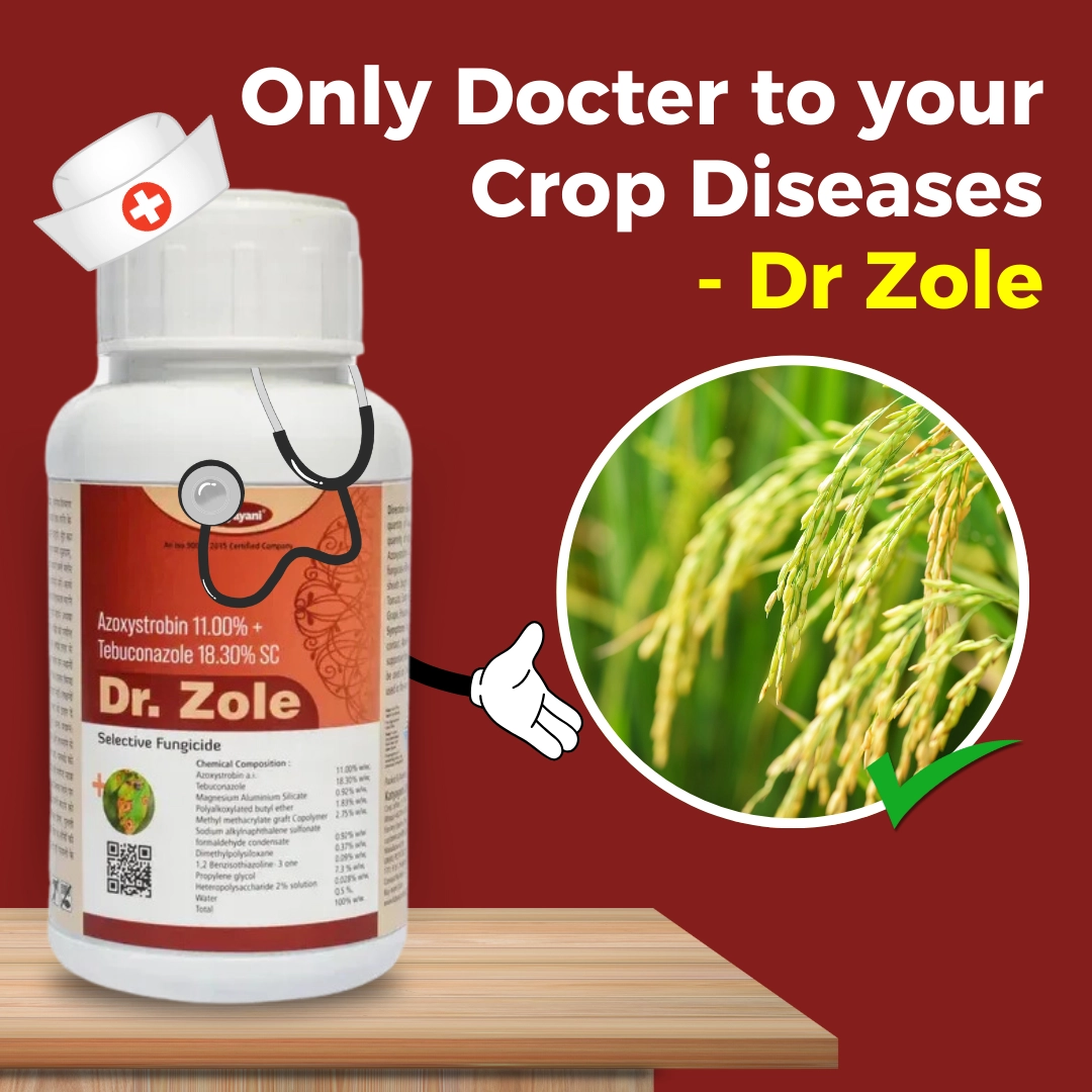 Katyayani Dr. Zole (500 ml)