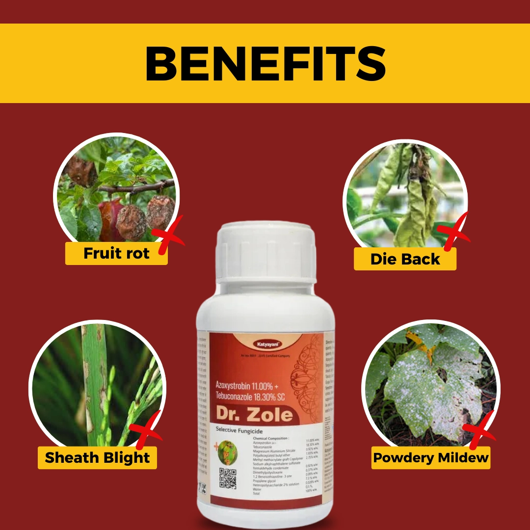 Katyayani Dr. Zole (500 ml)