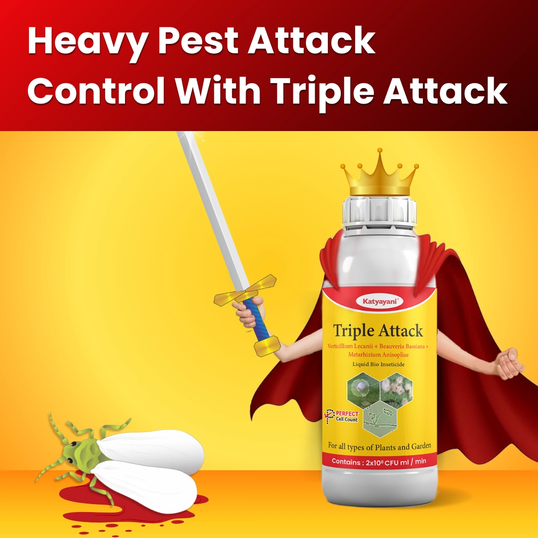 Katyayani Triple Attack - Liquid Bio-Insecticide - (1 Litre)