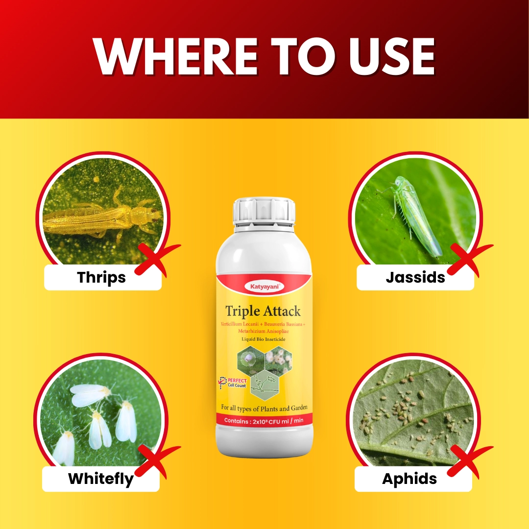 Katyayani Triple Attack - Liquid Bio-Insecticide - (1 Litre)