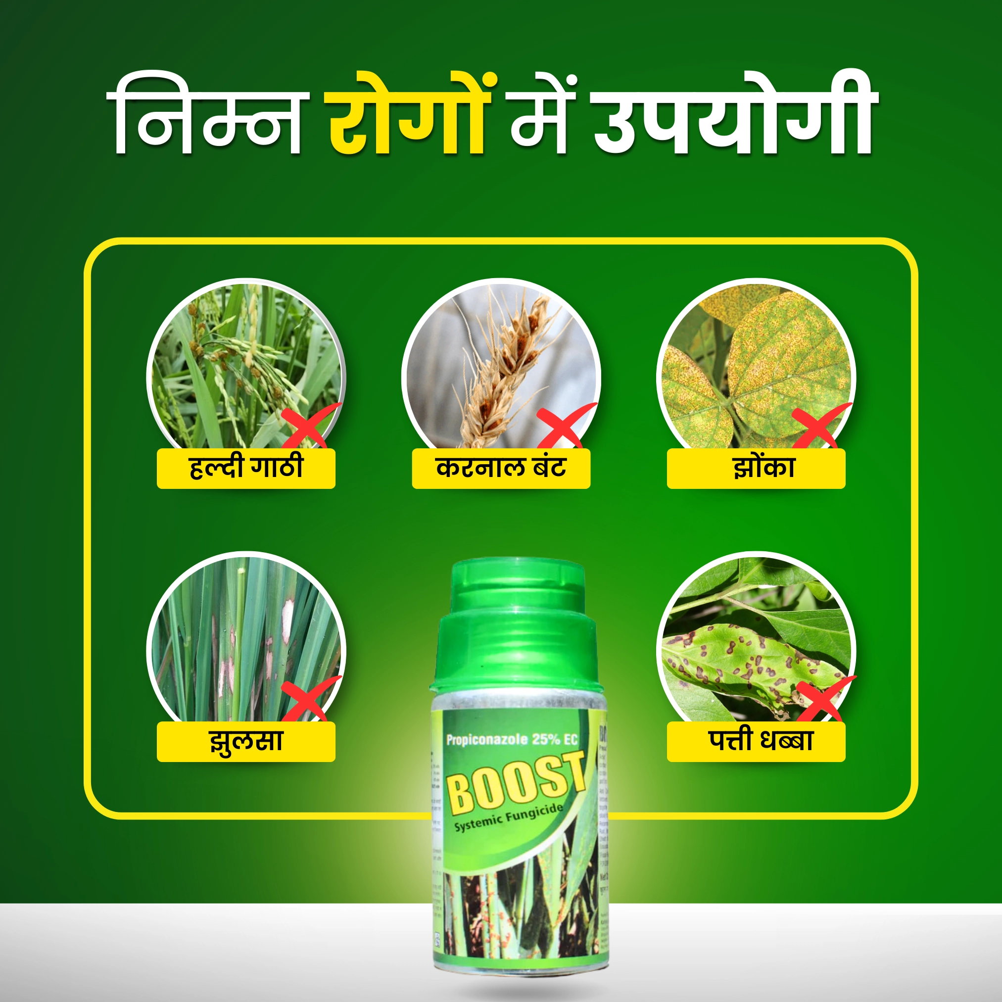 Katyayani Boost Fungicide -250 ml