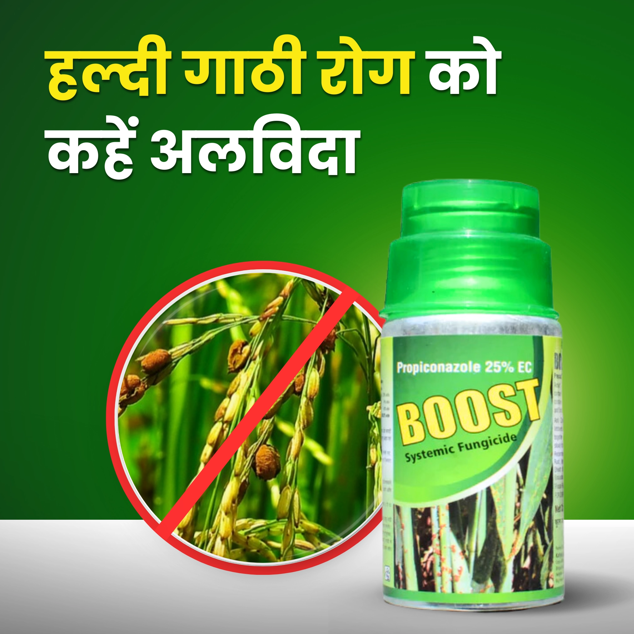 Katyayani Boost Fungicide -250 ml
