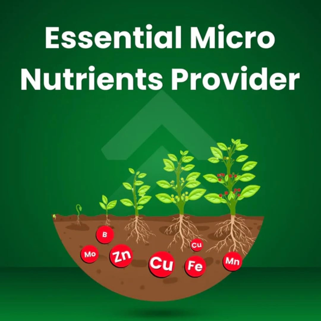 Katyayani Mix Micro Nutrient | 100 Gm