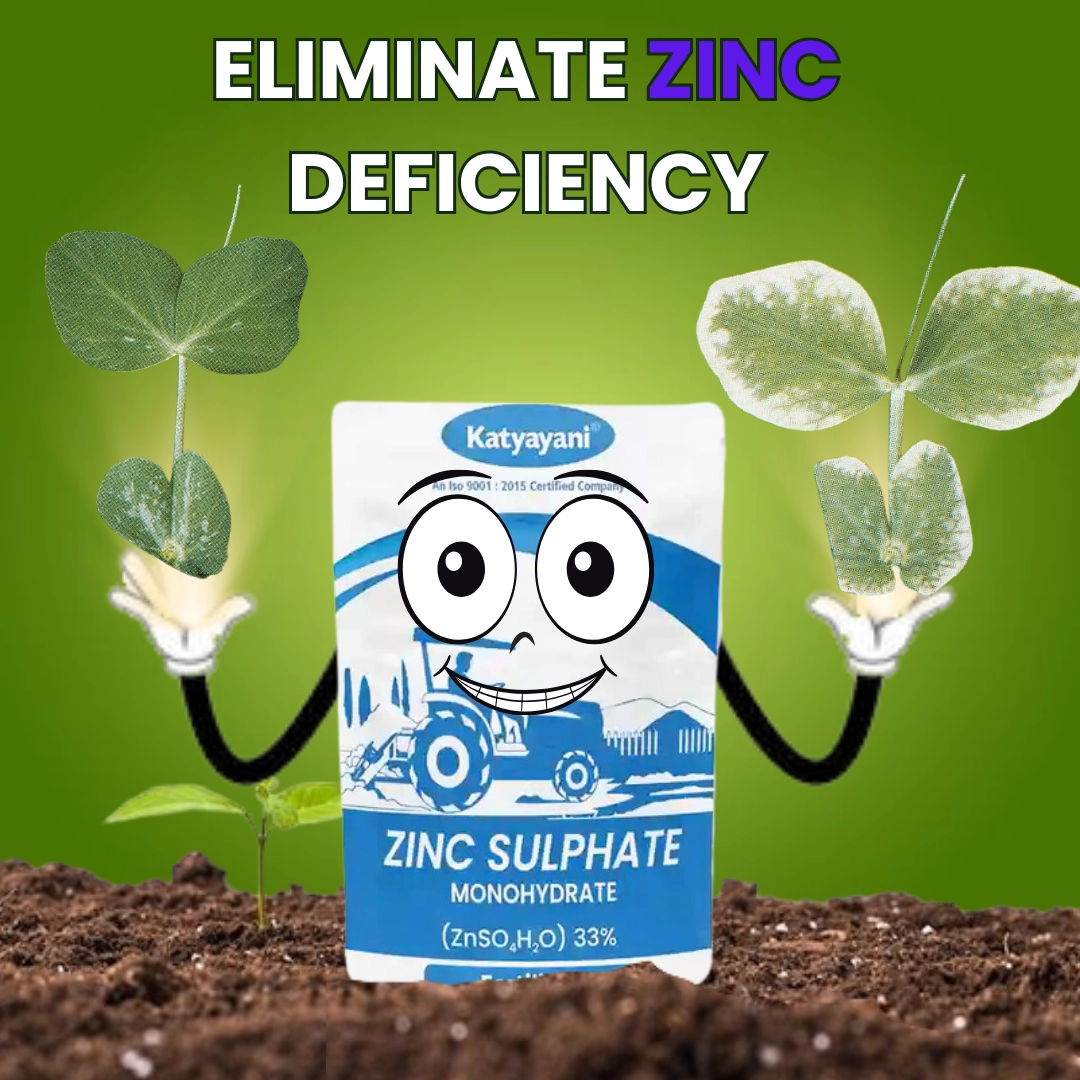 Katyayani Zinc Sulphate 33% | Monohydrate Micro Nutrient | 1 KG ( 1 KG x 1)