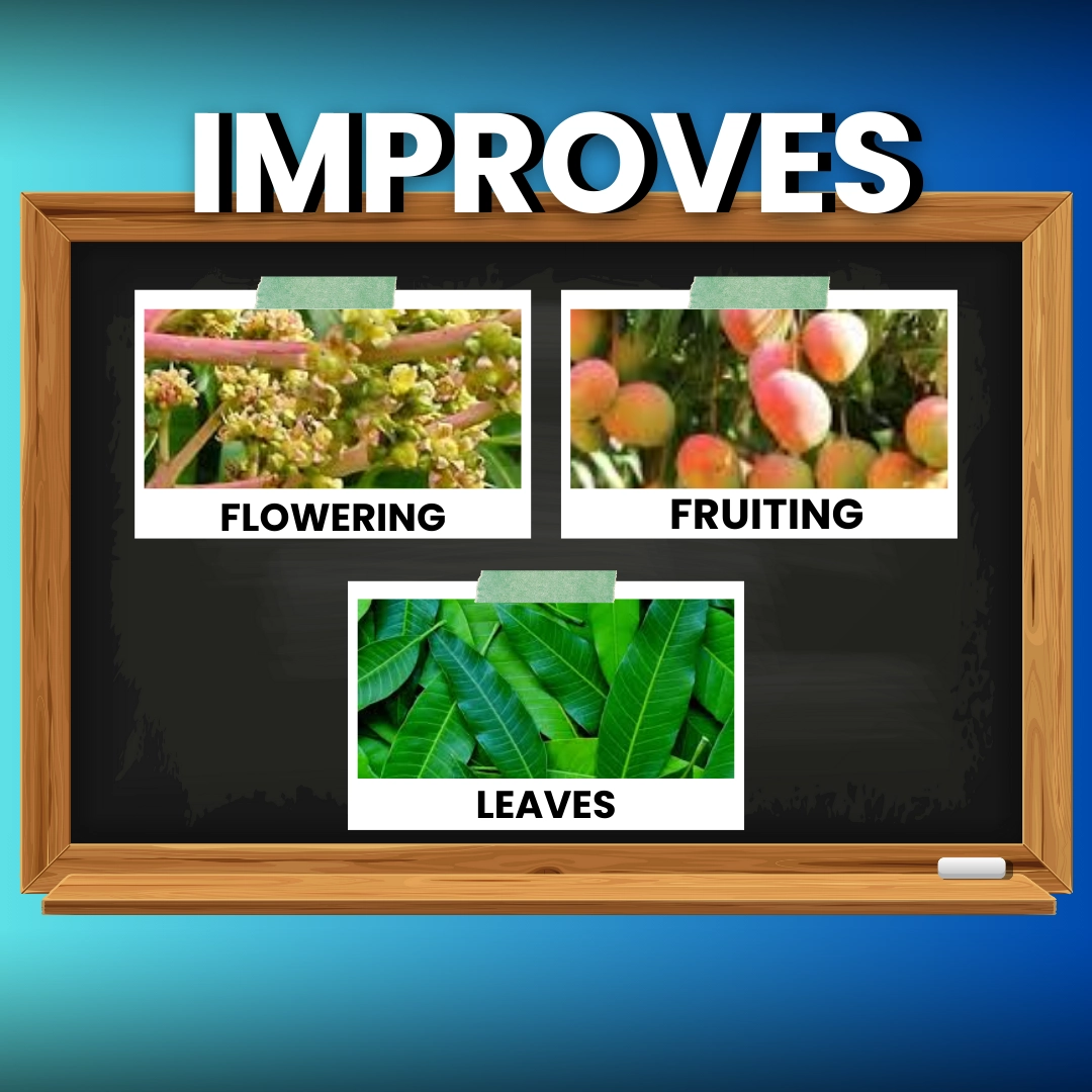 Katyayani Fast | Paclobutrazol 23% SC | Plant Growth Regulator
