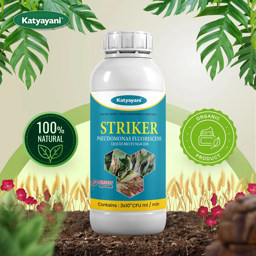 Katyayani Striker | Pseudomonas Fluorescens | Liquid Bio Fungicide