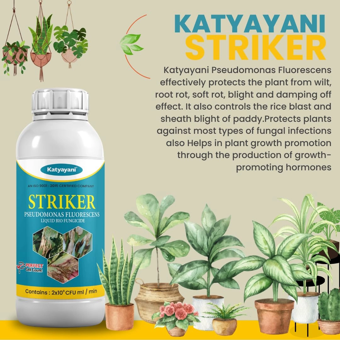 Katyayani Striker | Pseudomonas Fluorescens | Liquid Bio Fungicide