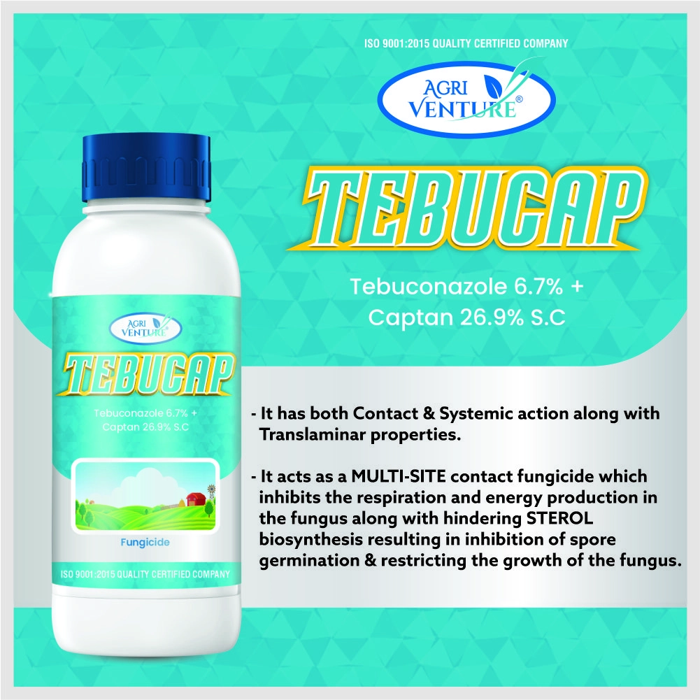 Agriventure Tebucap Tebuconazole 6.7% + Captan 26.9% SC Fungicide