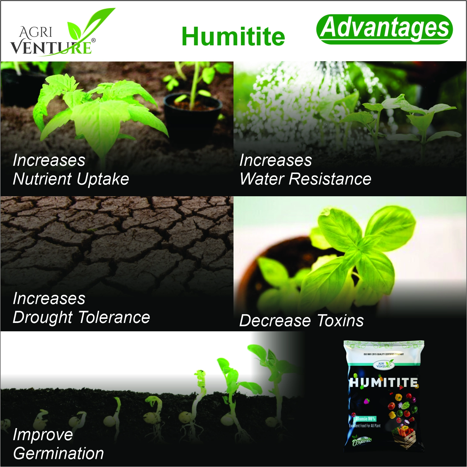 Agriventure Humiitite – Plant Growth Regulator with Humic Acid 98%