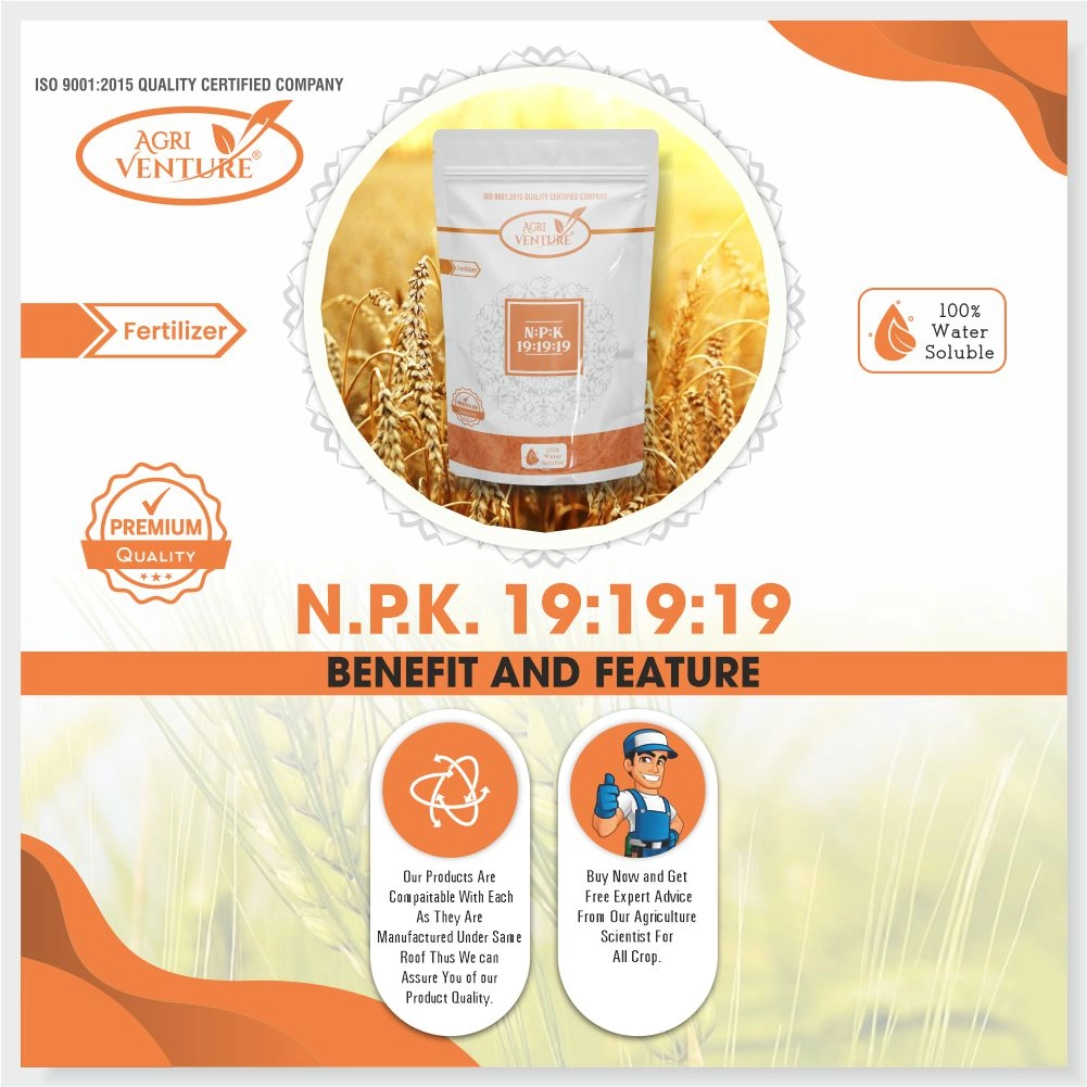 Agriventure NPK 19-19-19 Water Soluble Fertilizer