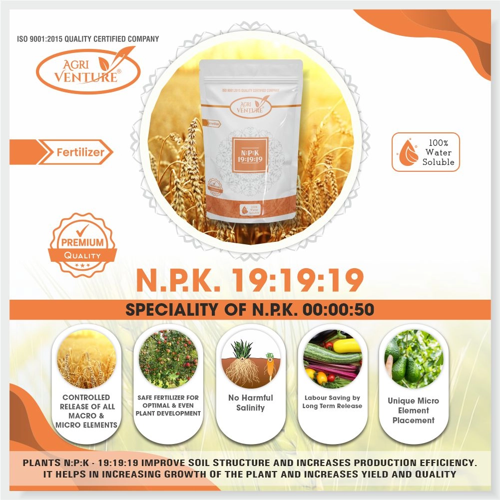 Agriventure NPK 19-19-19 Water Soluble Fertilizer