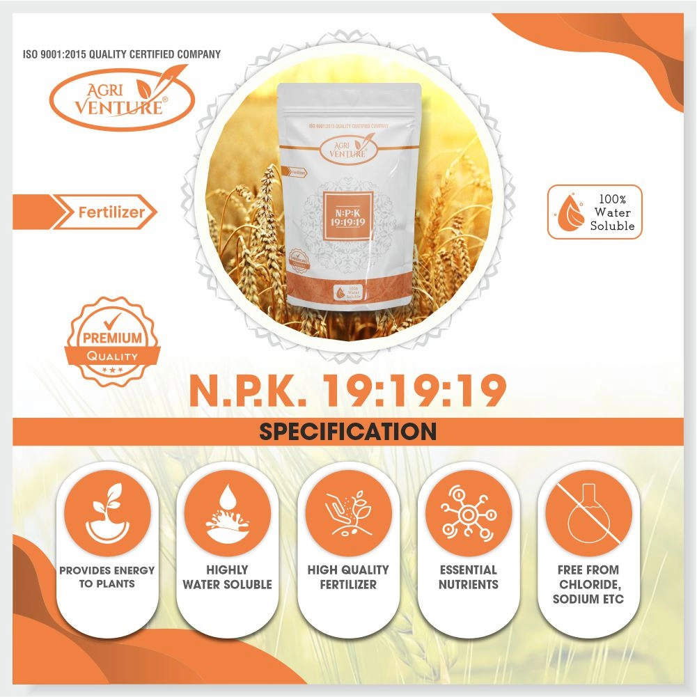 Agriventure NPK 19-19-19 Water Soluble Fertilizer