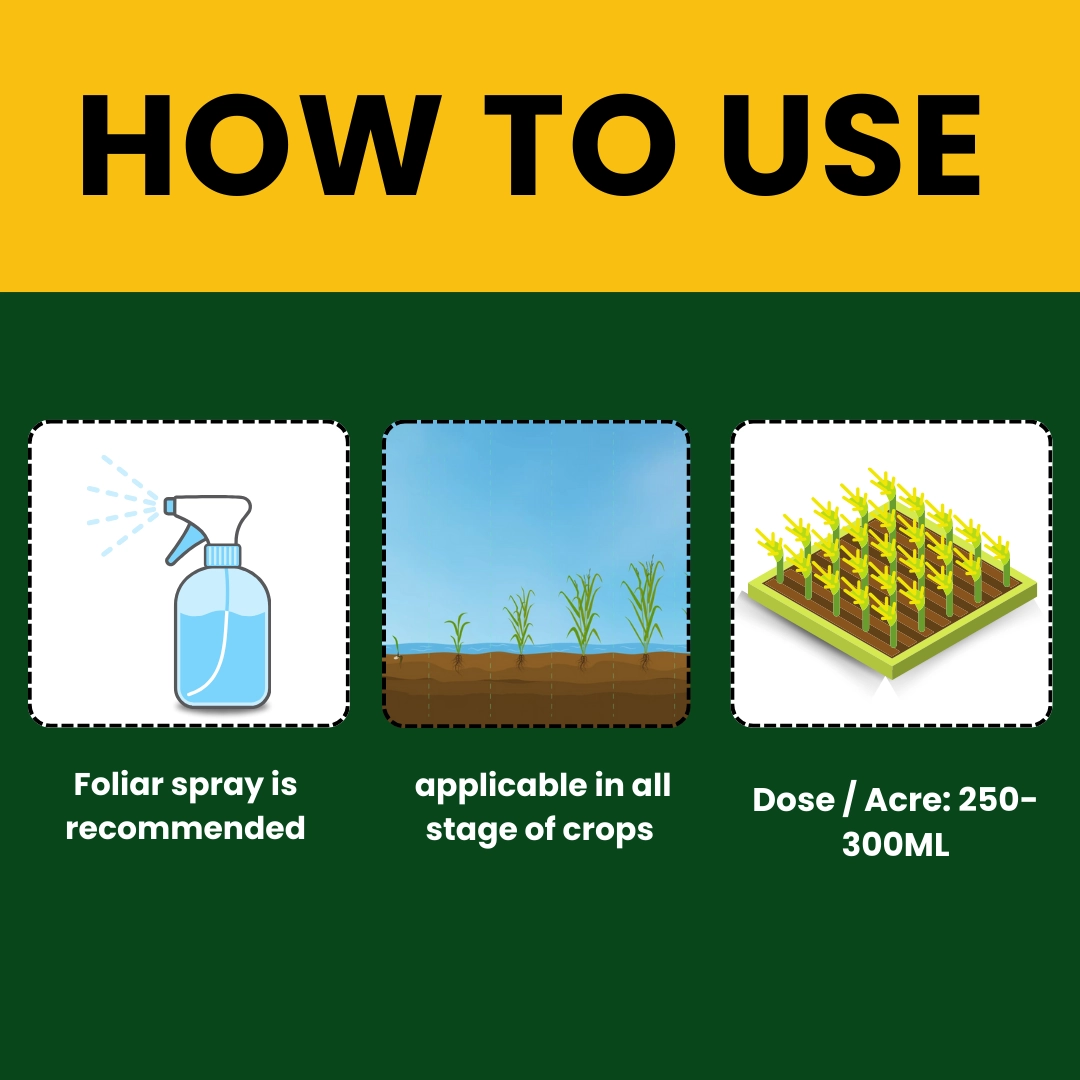 Katyayani Seaweed Extract | Liquid Organic fertilizer