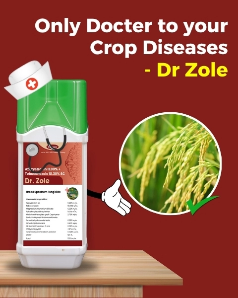 Katyayani Dr. Zole | Azoxystrobin 11% + Tebuconazole 18.3% SC | Chemical Fungicide