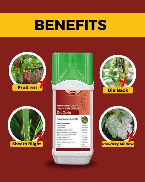 Katyayani Dr. Zole | Azoxystrobin 11% + Tebuconazole 18.3% SC | Chemical Fungicide